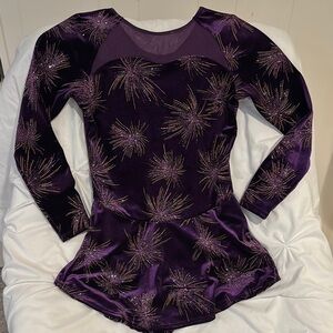 Elegant Purple Velvet Women's Skating/Dance Dresss